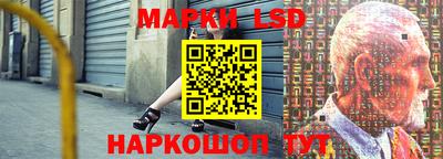 ГАЛЛЮЦИНОГЕННЫЕ ГРИБЫ Кингисепп
