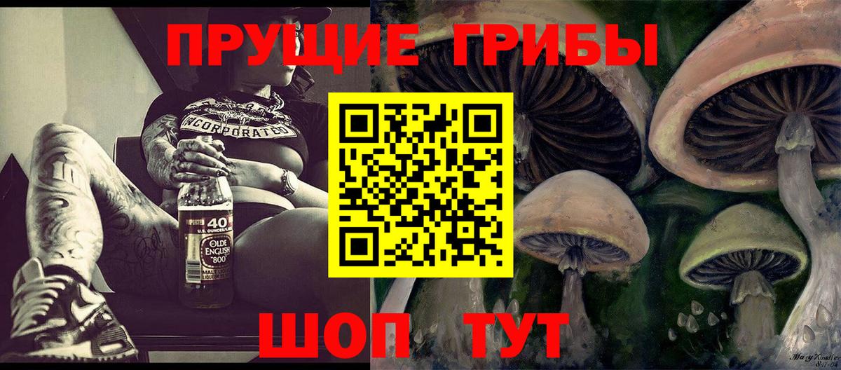 Галлюциногенные грибы Magic Shrooms  Вход с VPN  купить наркотик  Карачаевск  Псилоцибиновые грибы Psilocybe 
