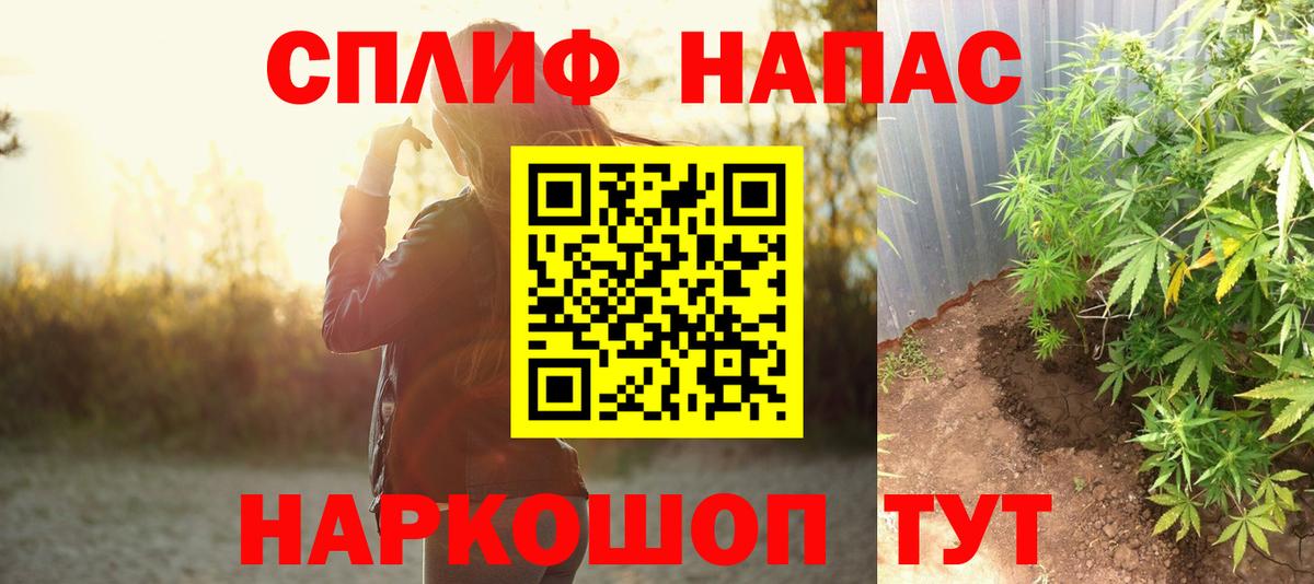Шишки марихуана MAZAR  Вход с VPN  Конопля Ganja  Карачаевск  МАРИХУАНА марихуана  Канабис планчик 