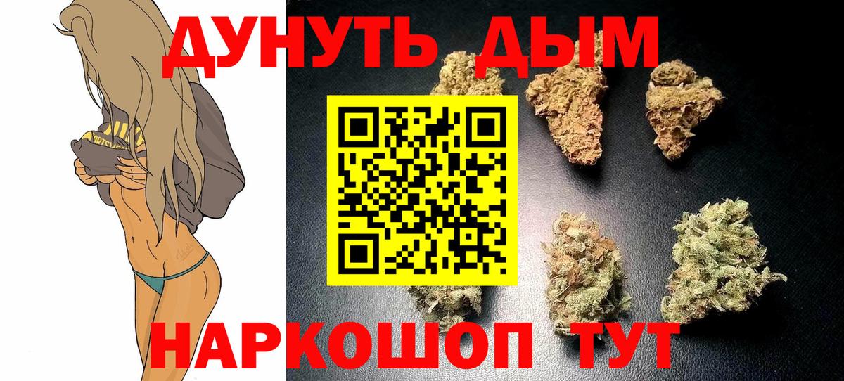 Бошки марихуана OG Kush Карачаевск